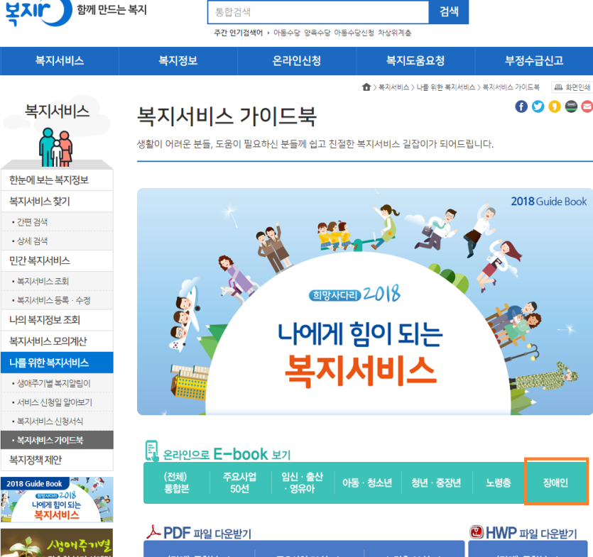 복지서비스 홈페이지 장애인 탭에 포커스되어있는 캡쳐이미지 입니다.