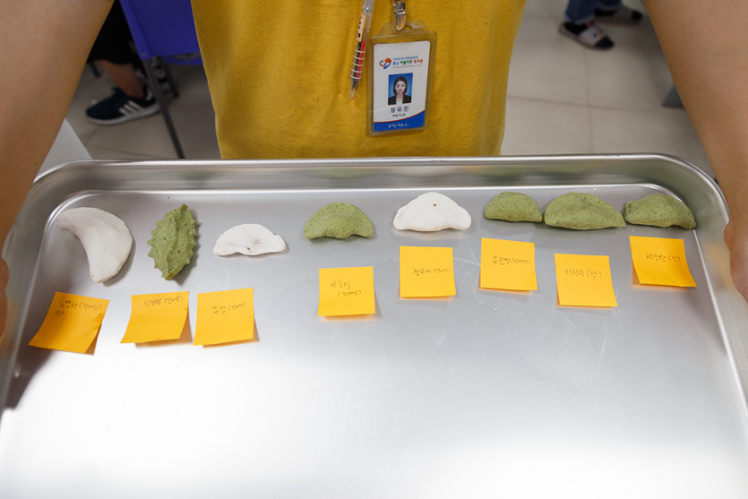 완성된 콘테스트 후보작 사진